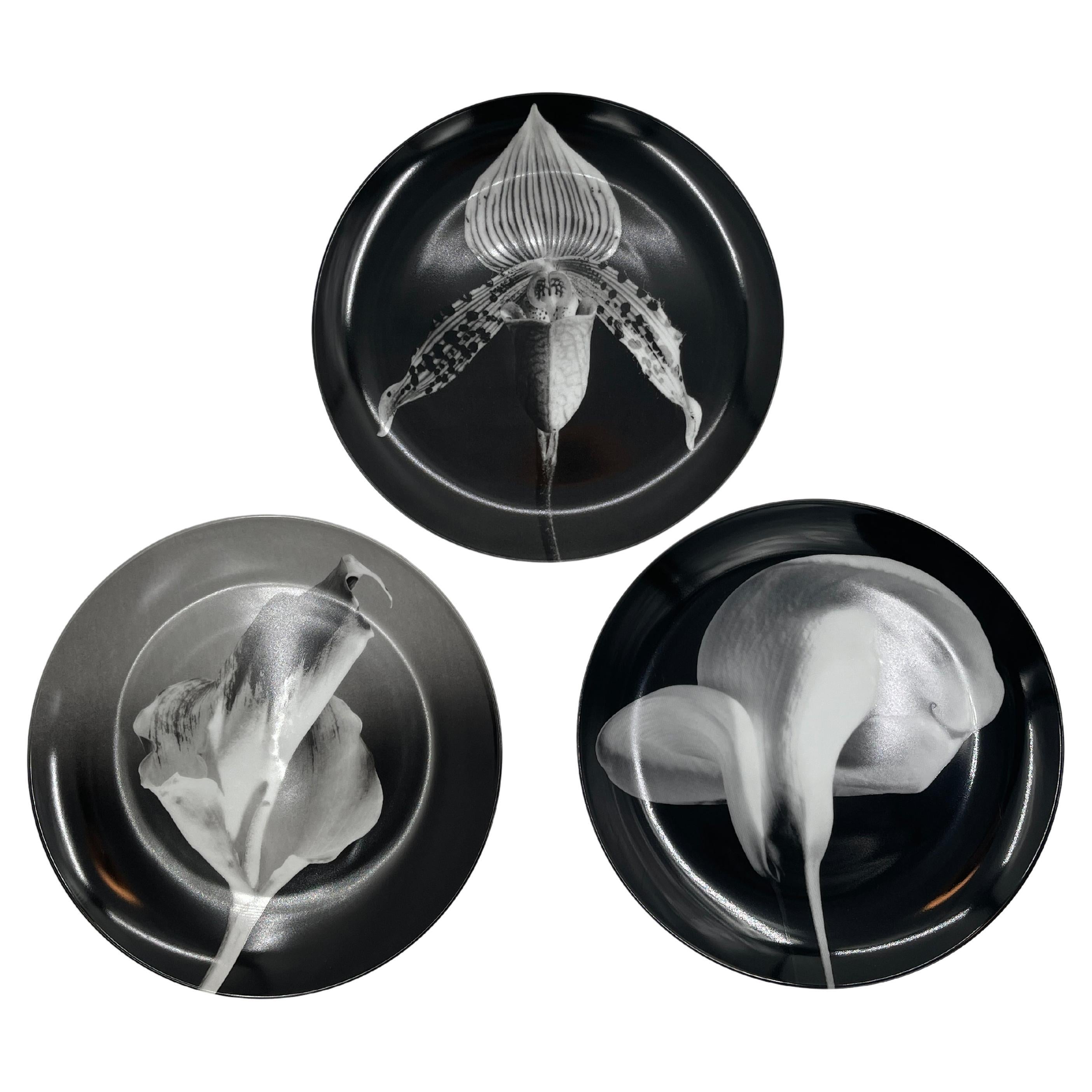 Swid Powell - Robert Mapplethorpe Porcelain Plates, Orchid - Flower - Calla Lily For Sale