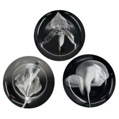 Vintage Swid Powell - Robert Mapplethorpe Porcelain Plates, Orchid - Flower - Calla Lily