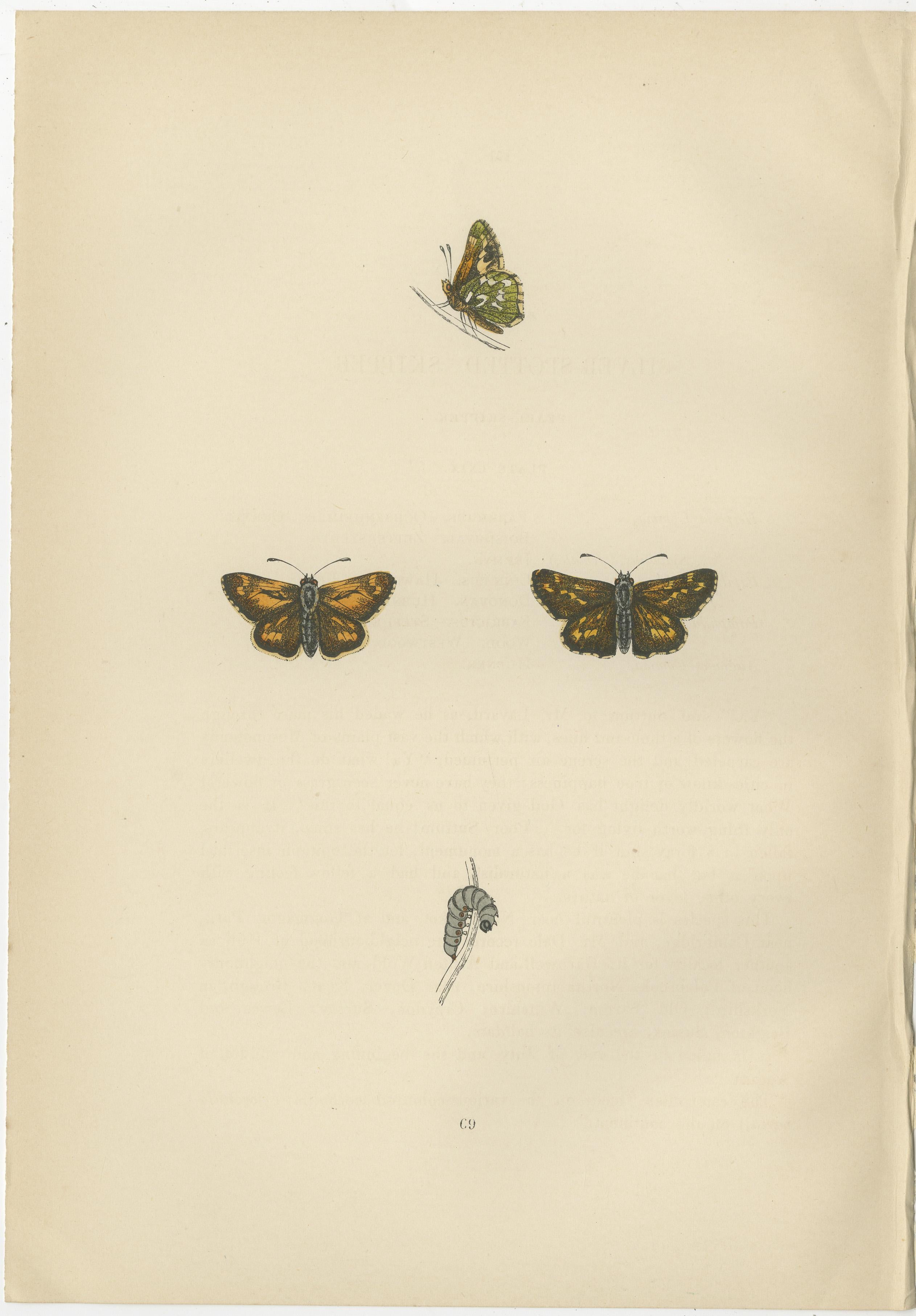 Late 19th Century Swift Shadows and Gilded Wings: The Art of Morris's Skippers from Britain, 1890 For Sale