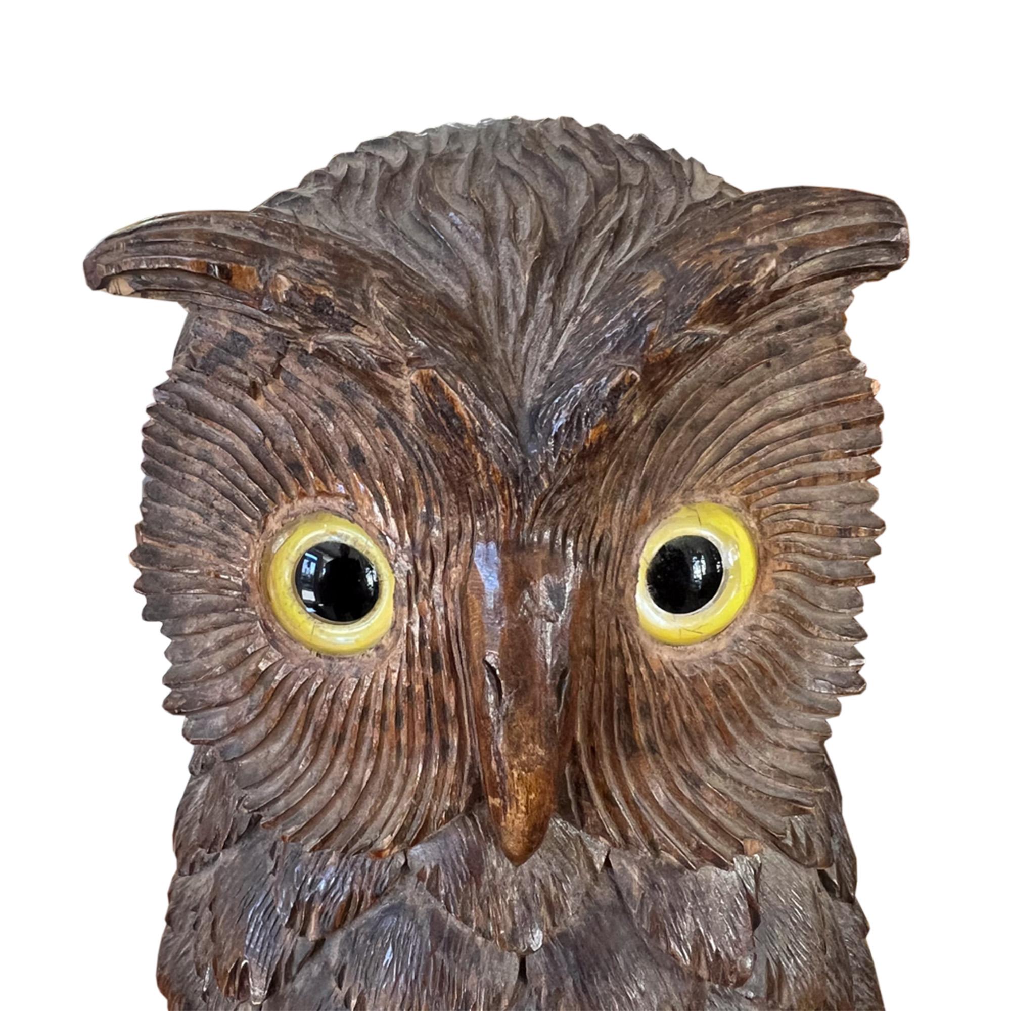 Hand-Carved Swiss Black Forest Carved Owl With Glass Eyes, Early 1900s For Sale