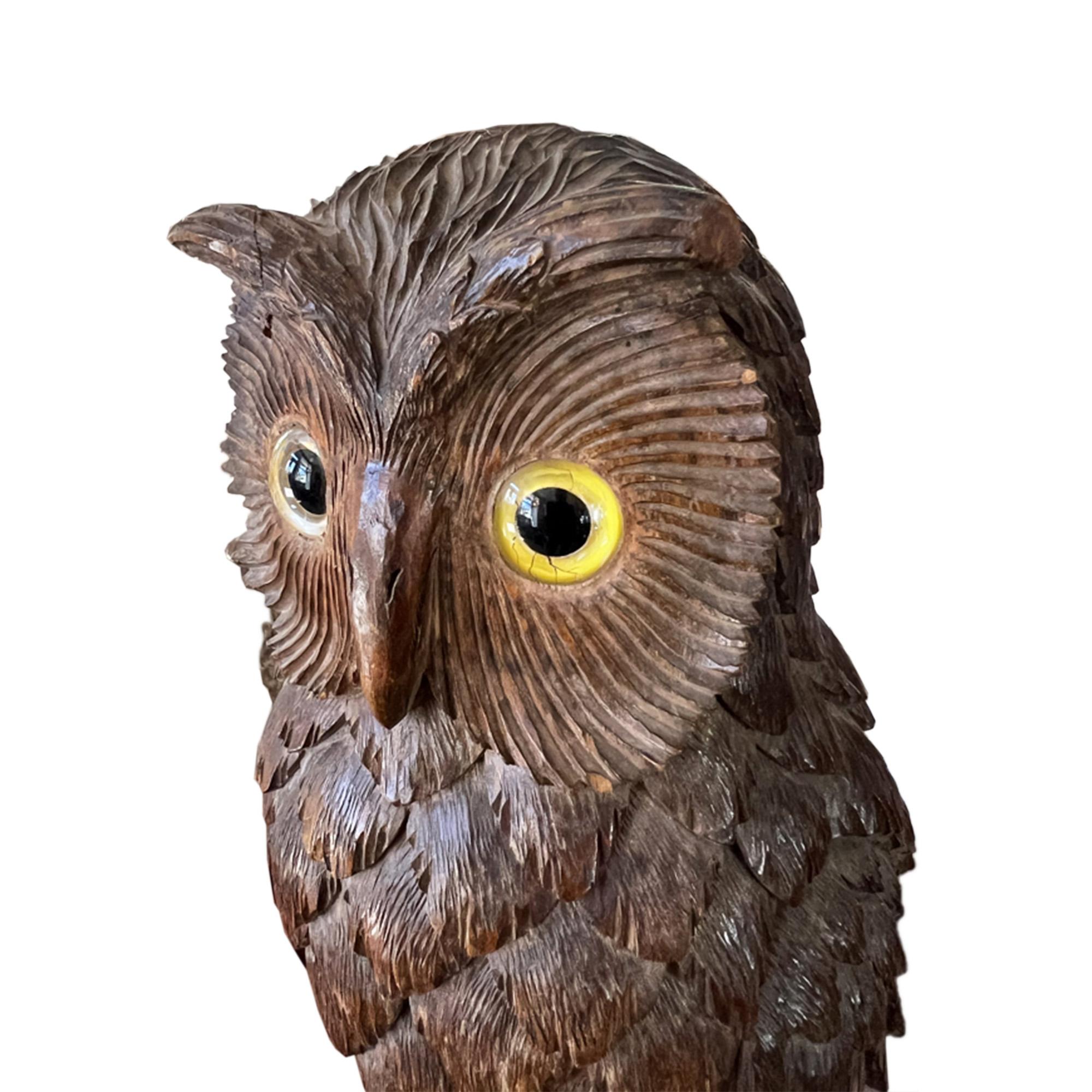 Swiss Black Forest Carved Owl With Glass Eyes, Early 1900s In Good Condition For Sale In London, GB