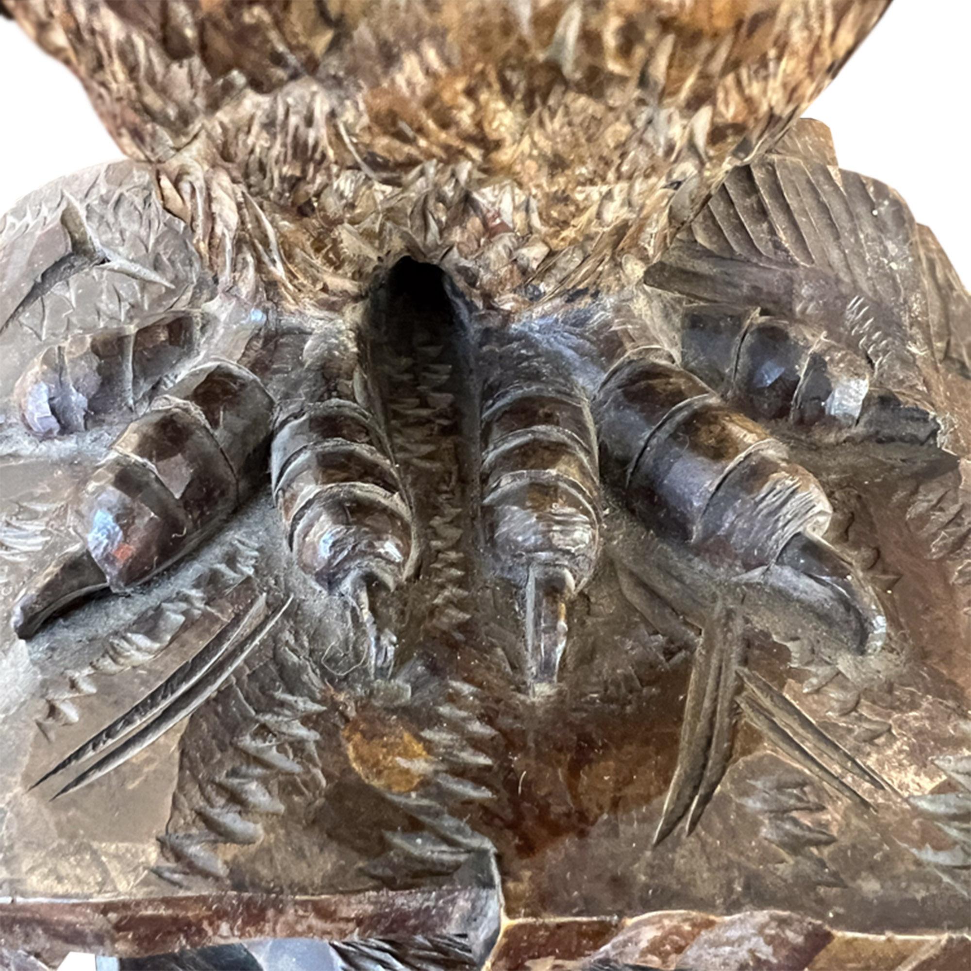 Wood Swiss Black Forest Carved Owl With Glass Eyes, Early 1900s For Sale