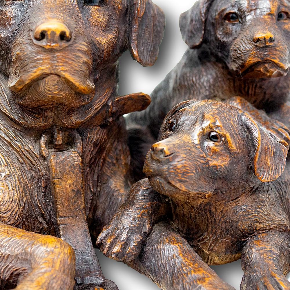 Gruppo Cinofilo Svizzero Black Forest Walter Mader in vendita 4