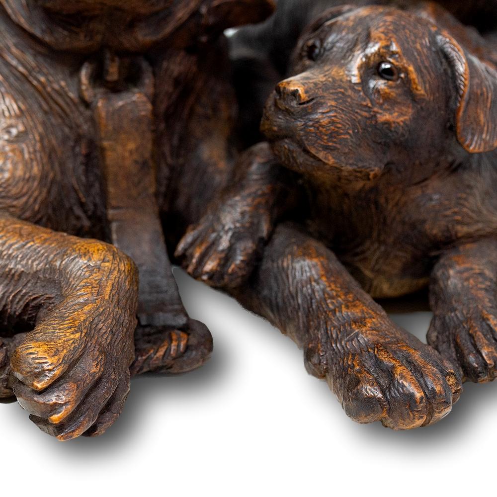 Gruppo Cinofilo Svizzero Black Forest Walter Mader in vendita 5