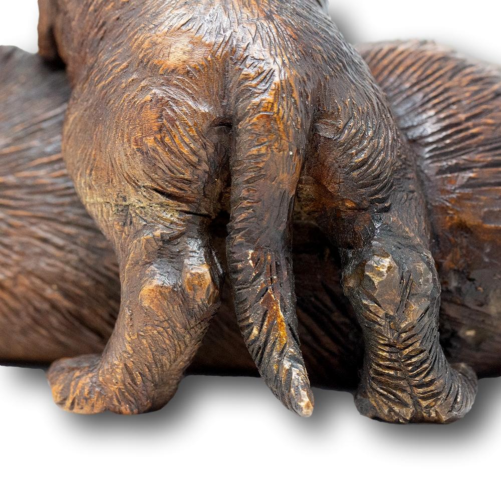 Gruppo Cinofilo Svizzero Black Forest Walter Mader in vendita 8