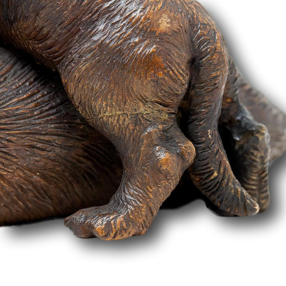 Gruppo Cinofilo Svizzero Black Forest Walter Mader in vendita 9