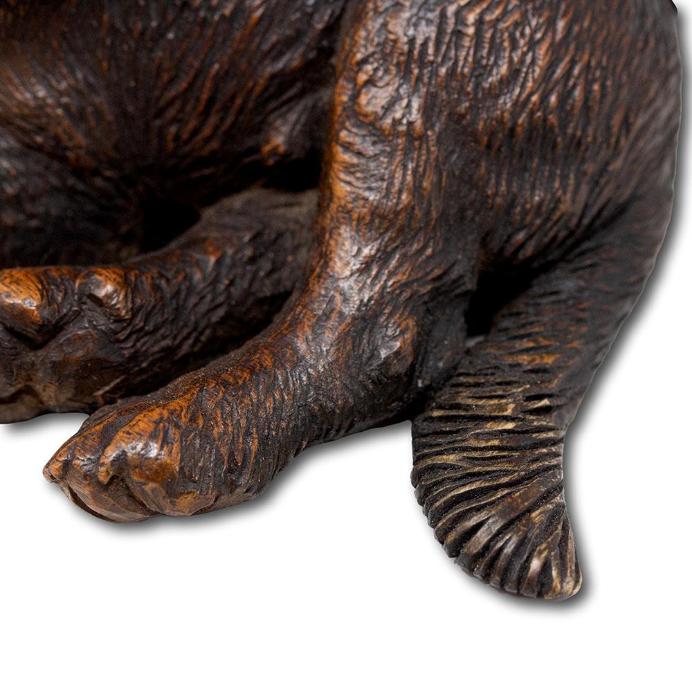 Gruppo Cinofilo Svizzero Black Forest Walter Mader in vendita 10