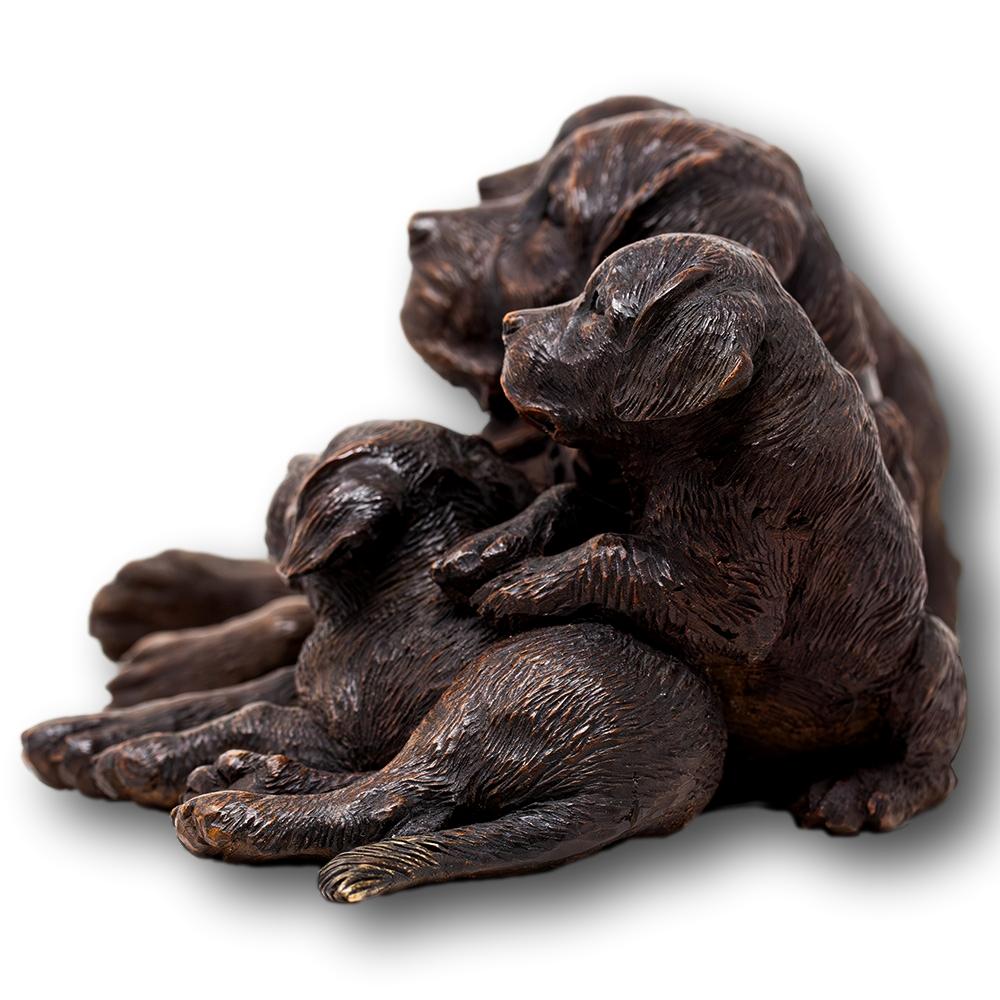 Foresta Nera Gruppo Cinofilo Svizzero Black Forest Walter Mader in vendita