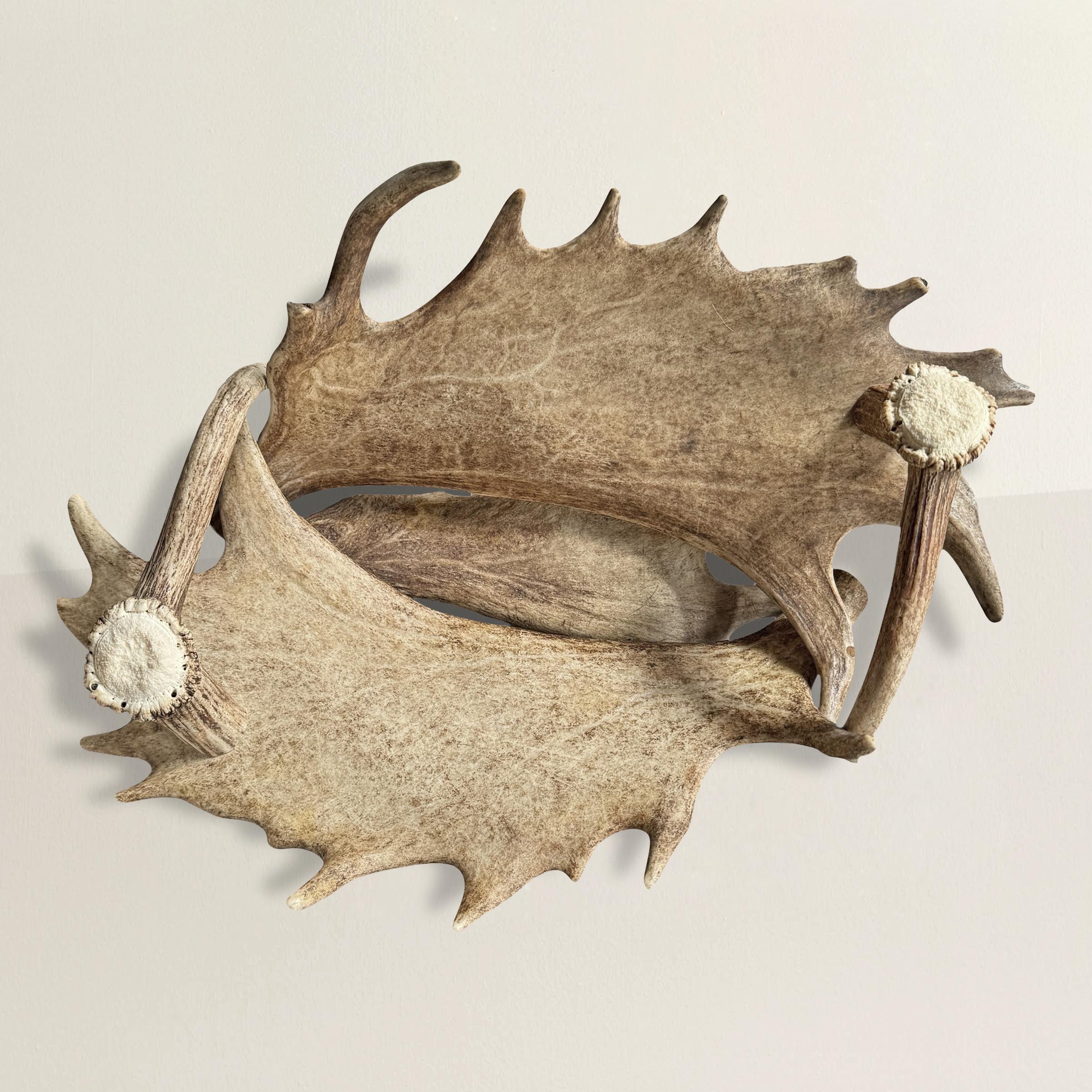 S'inspirant de la riche tradition artisanale de la Forêt-Noire, ce bol suisse du XXIe siècle est une composition artistique de bois de daim et de cerf. Les bois de daim forment le récipient, leurs courbes gracieuses créant un bassin naturellement
