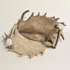 Swiss Black Forest Fallow Deer and Stag Antler Bowl