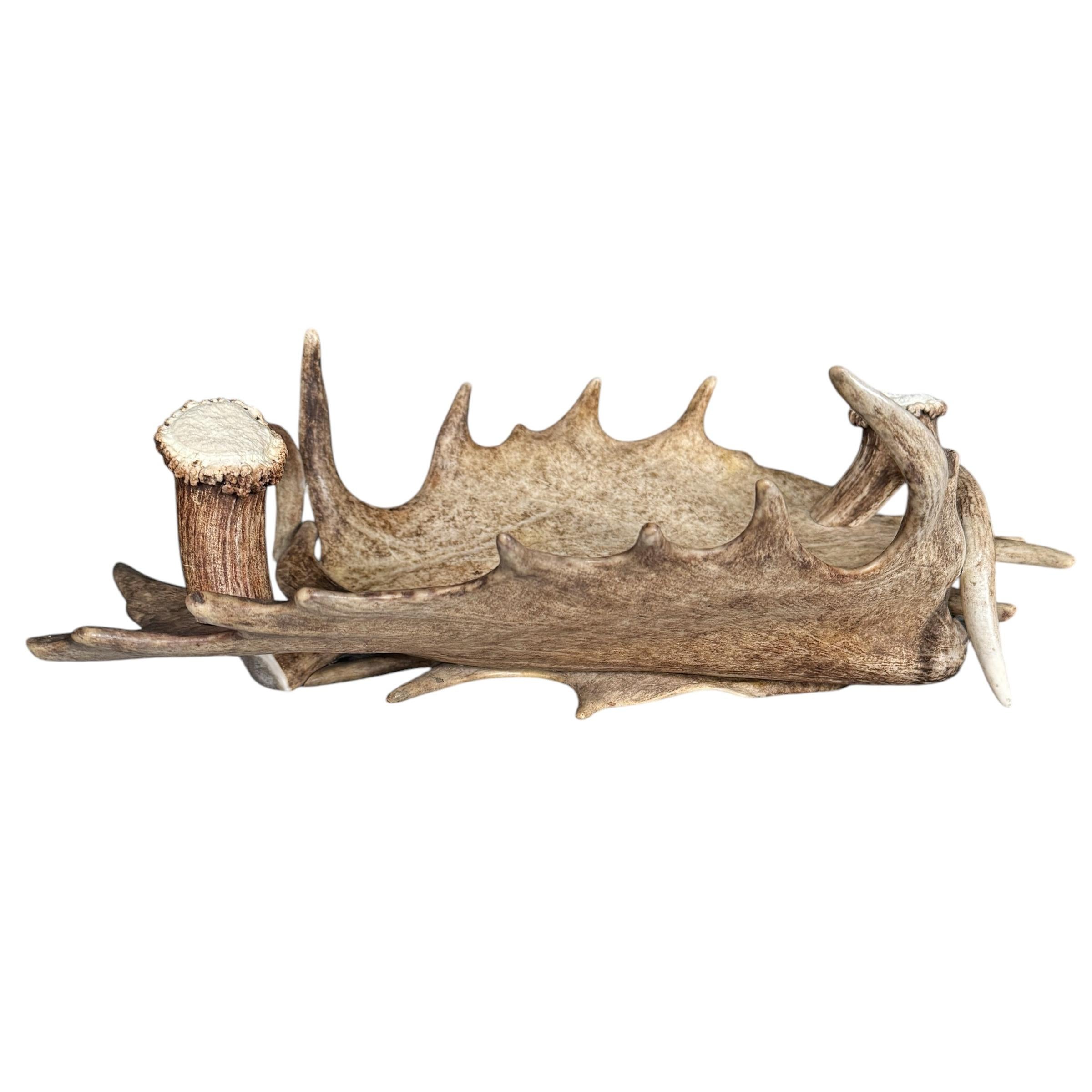 Suisse Coupe en bois de daim et de cerf suisse de Black Forest en vente