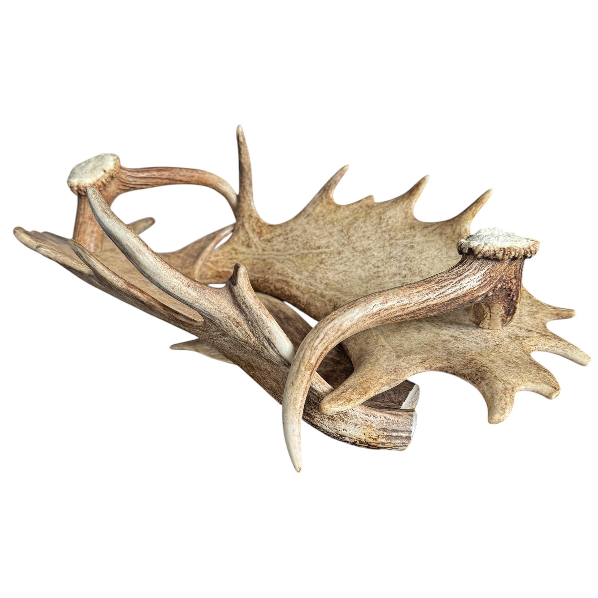 XXIe siècle et contemporain Coupe en bois de daim et de cerf suisse de Black Forest en vente