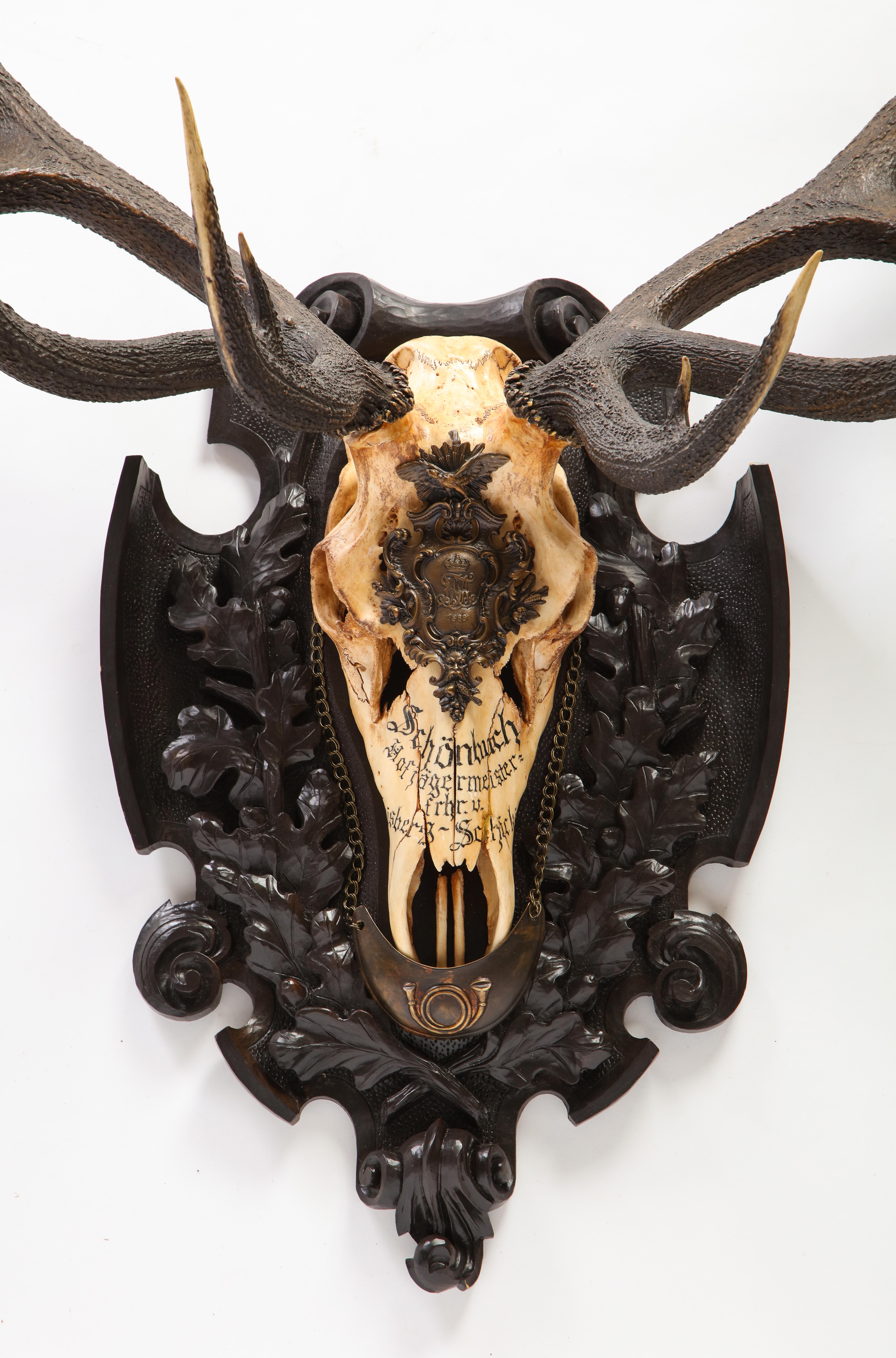A distinctive Swiss 'Black Forest' large antler trophy mount dated 1889. The piece is enhanced with a brushed metal hunting horn medallion suspended from a linked chain. A gothic German script adorns the head of the trophy along with an ornate