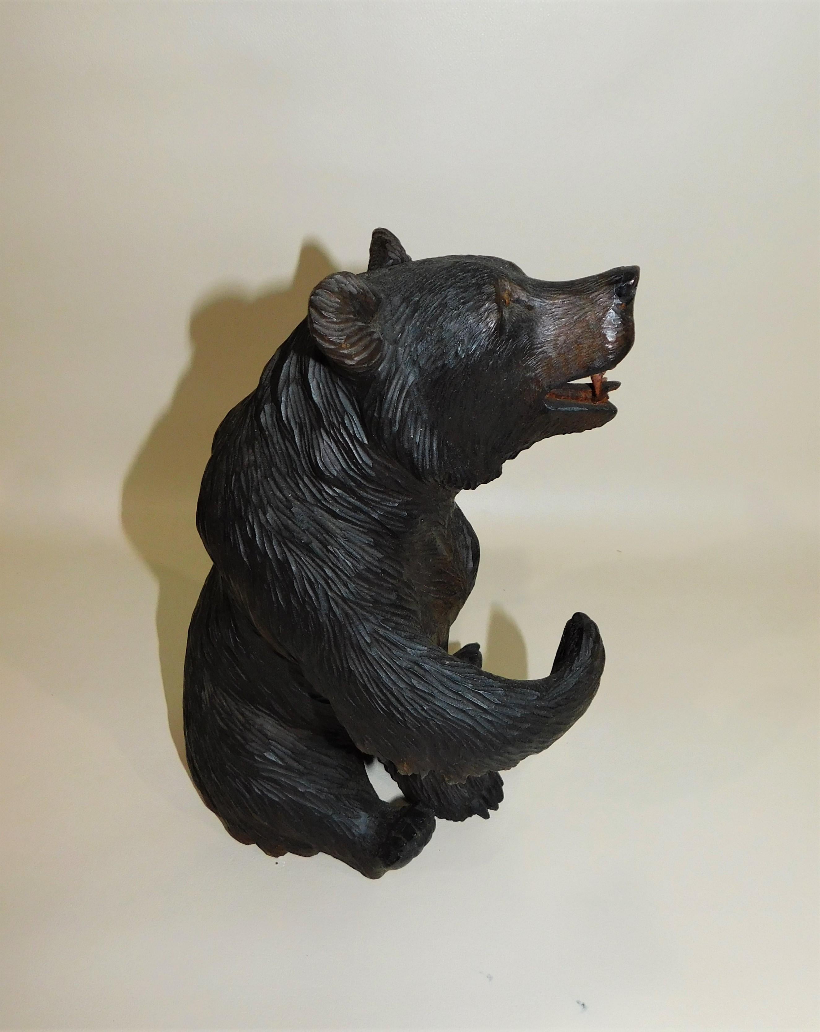 Black Forest hand-carved linden-wood hand-carved grizzly bear with glass eyes and enamel painted mouth with fangs/teeth showing, circa 1900. 

Black Forest sculptural art originates from the small mountain town Brienz, Switzerland contrary to