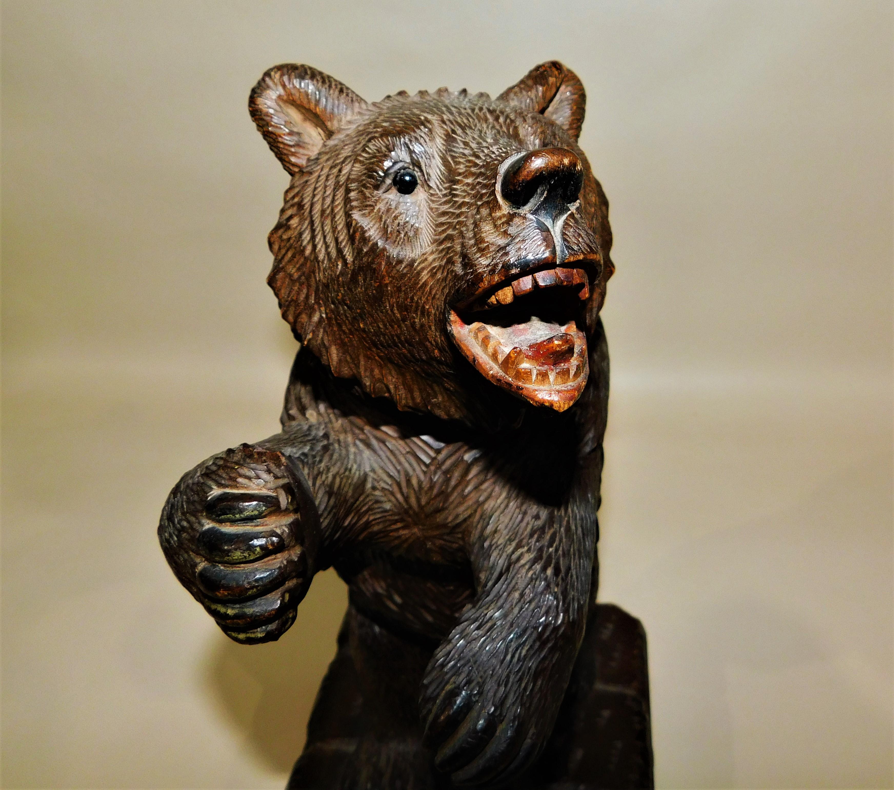Black Forest hand-carved linden-wood hand-carved grizzly bear with glass eyes and enamel painted mouth with fangs/teeth showing on a thick base, circa 1900. See our other items for more hand-carved wood pieces.

Black Forest sculptural art