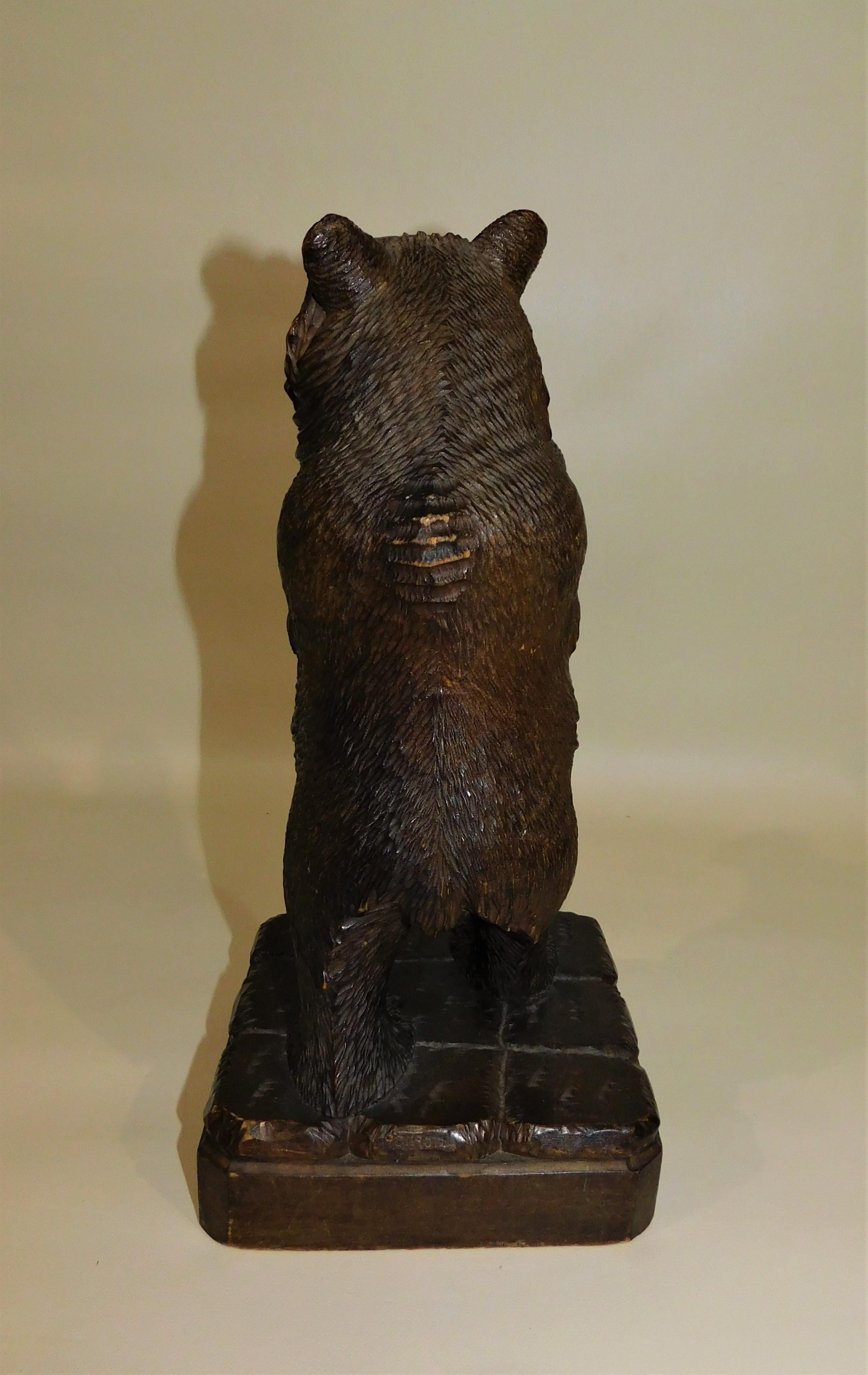 20th Century Swiss Brienz Black Forest Hand-Carved Wood Grizzly Bear For Sale