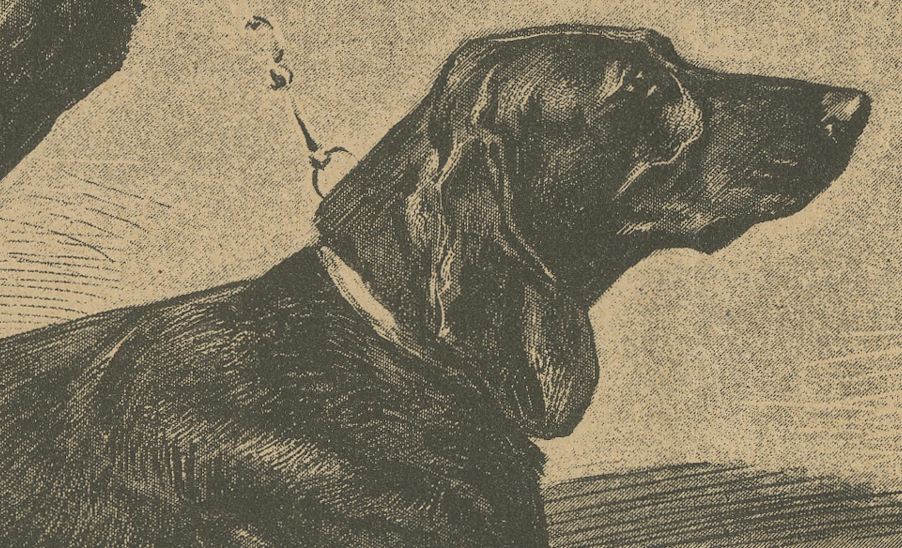 Schweizer Jagdhund Briquets - Antique Dog Print, um 1880, französische Publikation (Französisch) im Angebot