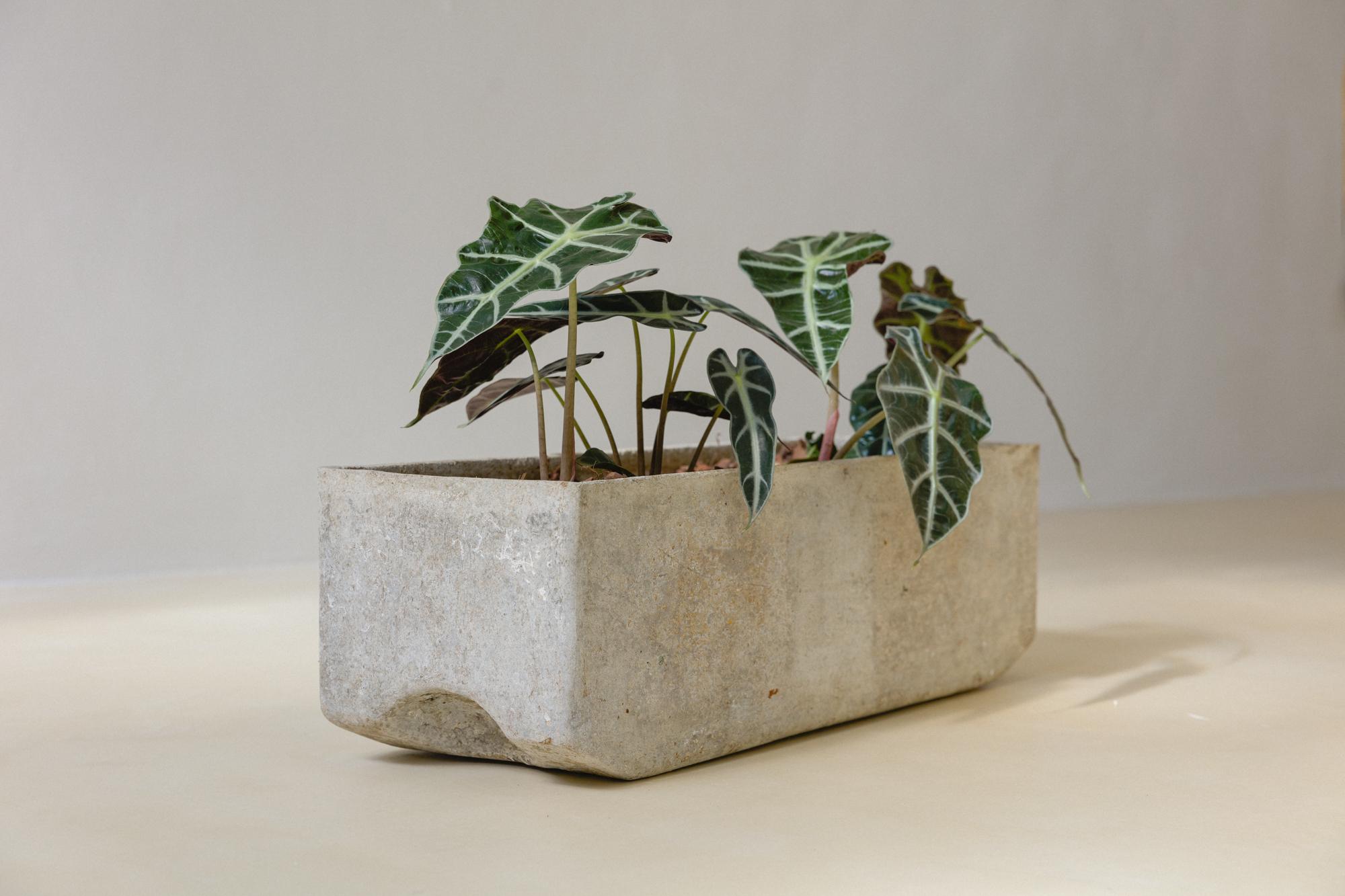 Painted Swiss Planter by Willy Guhl, Produced by Eternit Brazil, 1960s For Sale