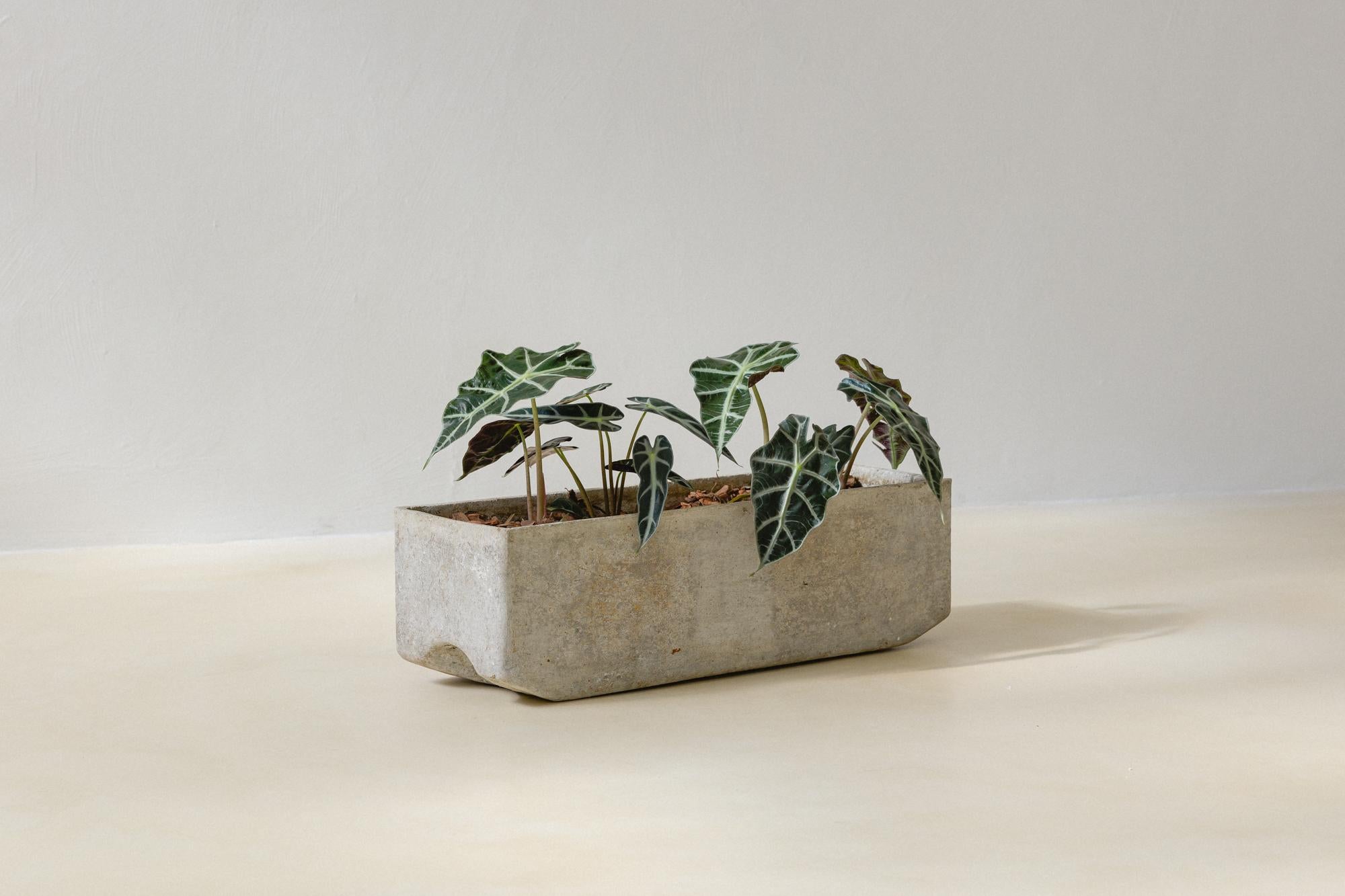 Brésilien Jardinière suisse Willy Guhl, produite par Eternit Brazil, années 1960 en vente