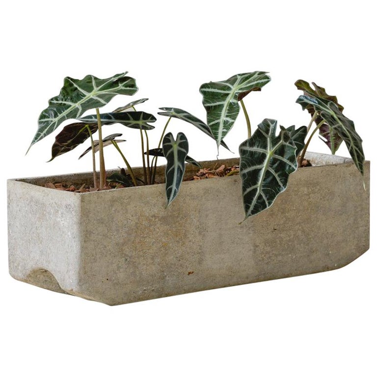 Planter by Willy Guhl, Produced Eternit Brazil, 1960s For Sale at 1stDibs