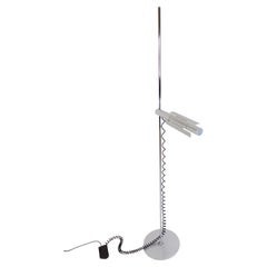Swisslamps International Halo 250 Floor Lamp by R. and R. Baltensweiler
