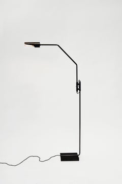 Switch Floor Lamp - Patinated Brass and Blackened Steel
