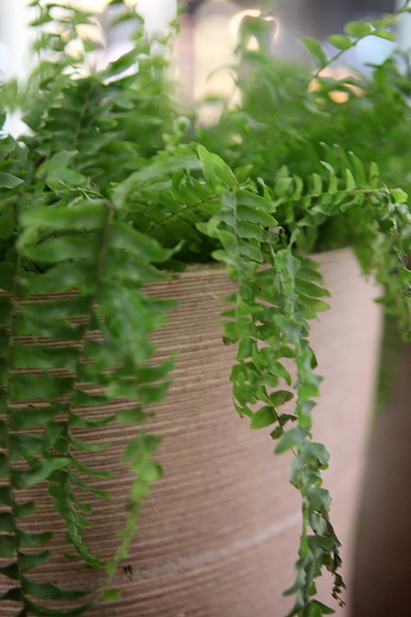 Organic Modern Swivel, Stool and Planter, 3D Printed Fermented Sugar and Wood Fibre Mix For Sale