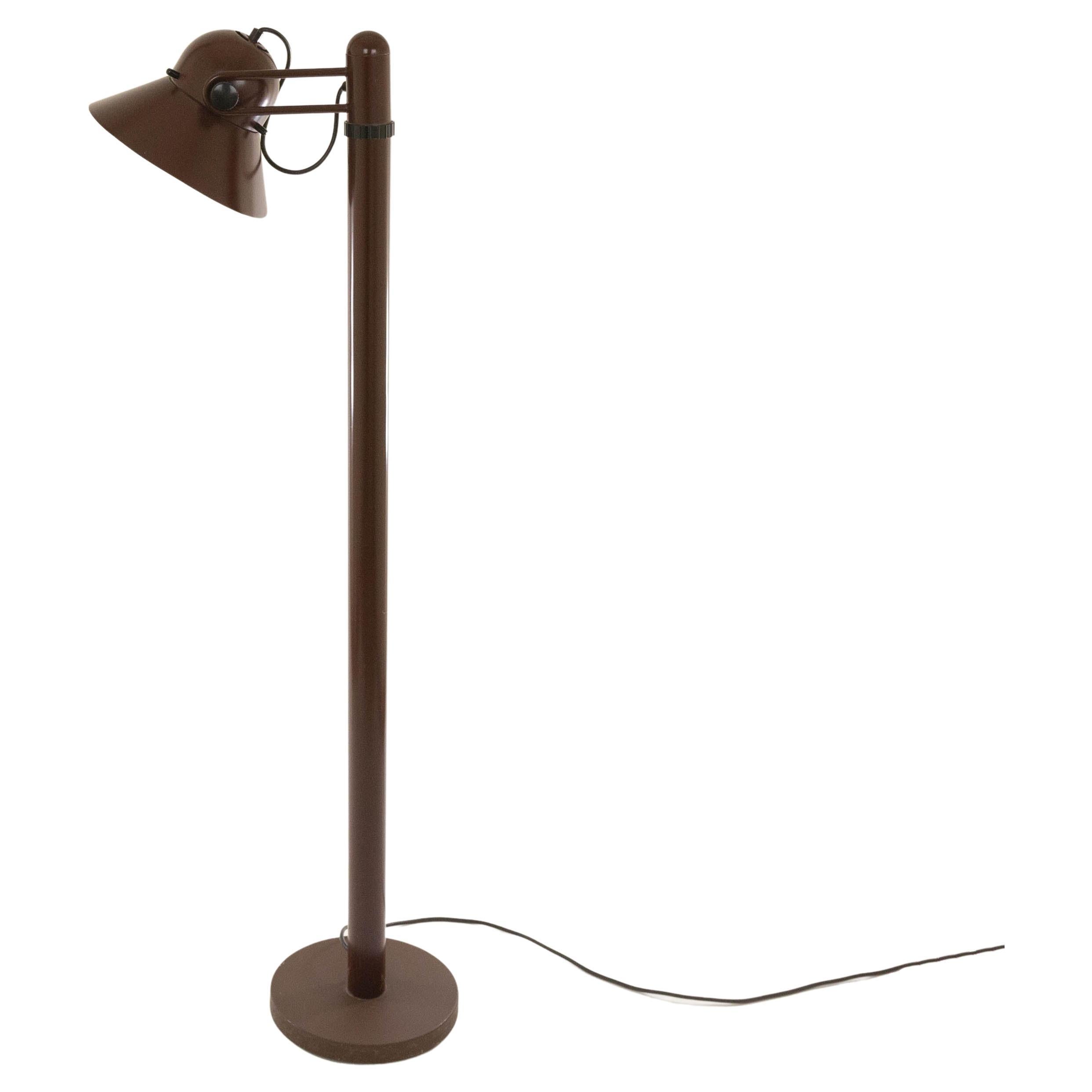 Swiveling Floor Lamp by Gae Aulenti for Stilnovo, 1970s For Sale