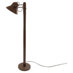 Retro Swiveling Floor Lamp by Gae Aulenti for Stilnovo, 1970s