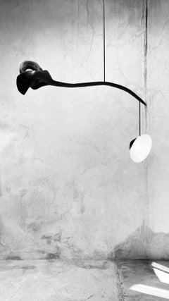 Suspension contemporaine en bois noir et verre blanc par Jérôme Pereira