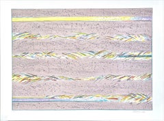 DREAMFIELDS III: TAUPE Litografia firmata, Pastello Multicolore Astratto