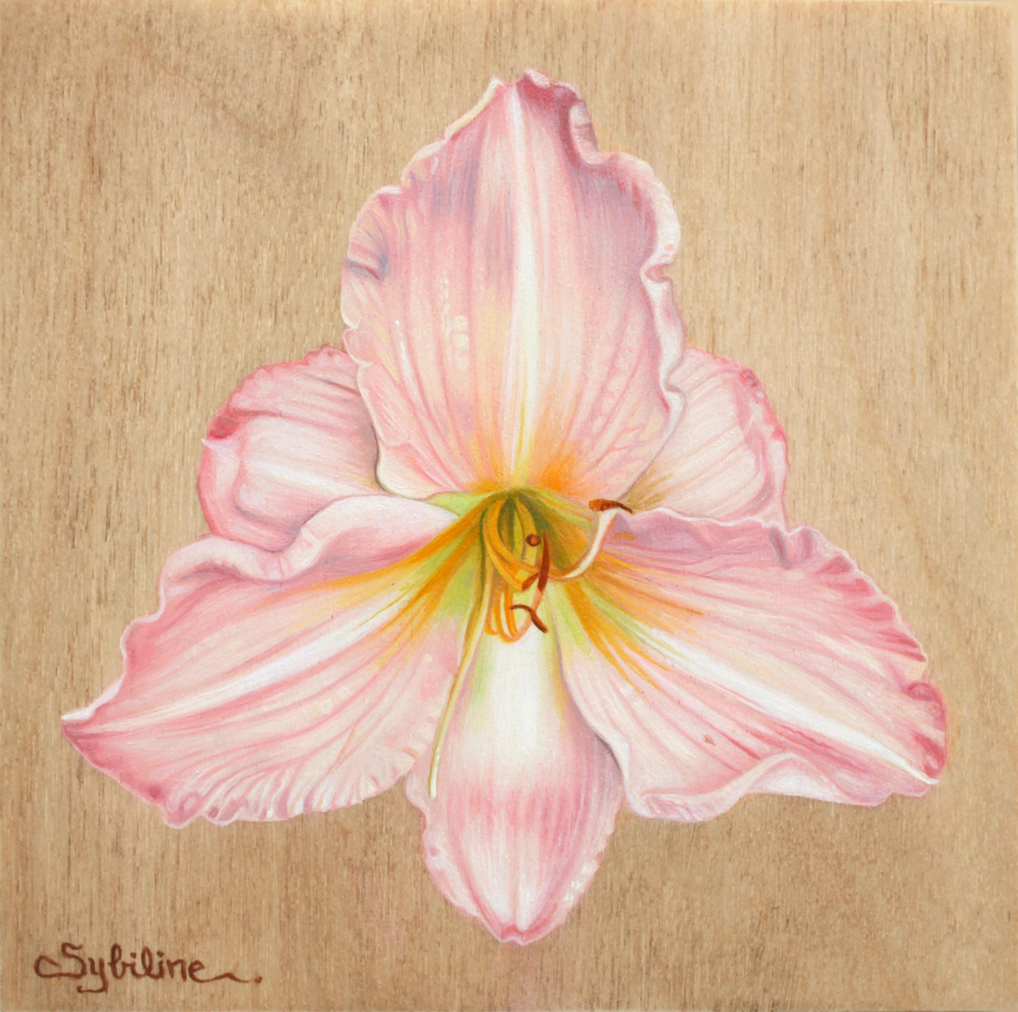 "Hemerocallis I" (2022) di Sybiline, Pittura ad olio, Giglio rosa