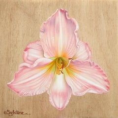 "Hemerocallis I" (2022) di Sybiline, Pittura ad olio, Giglio rosa