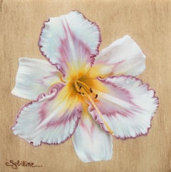 "Hemerocallis III" (2022) di Sybiline, Pittura a olio, Day Lily rosa e bianco