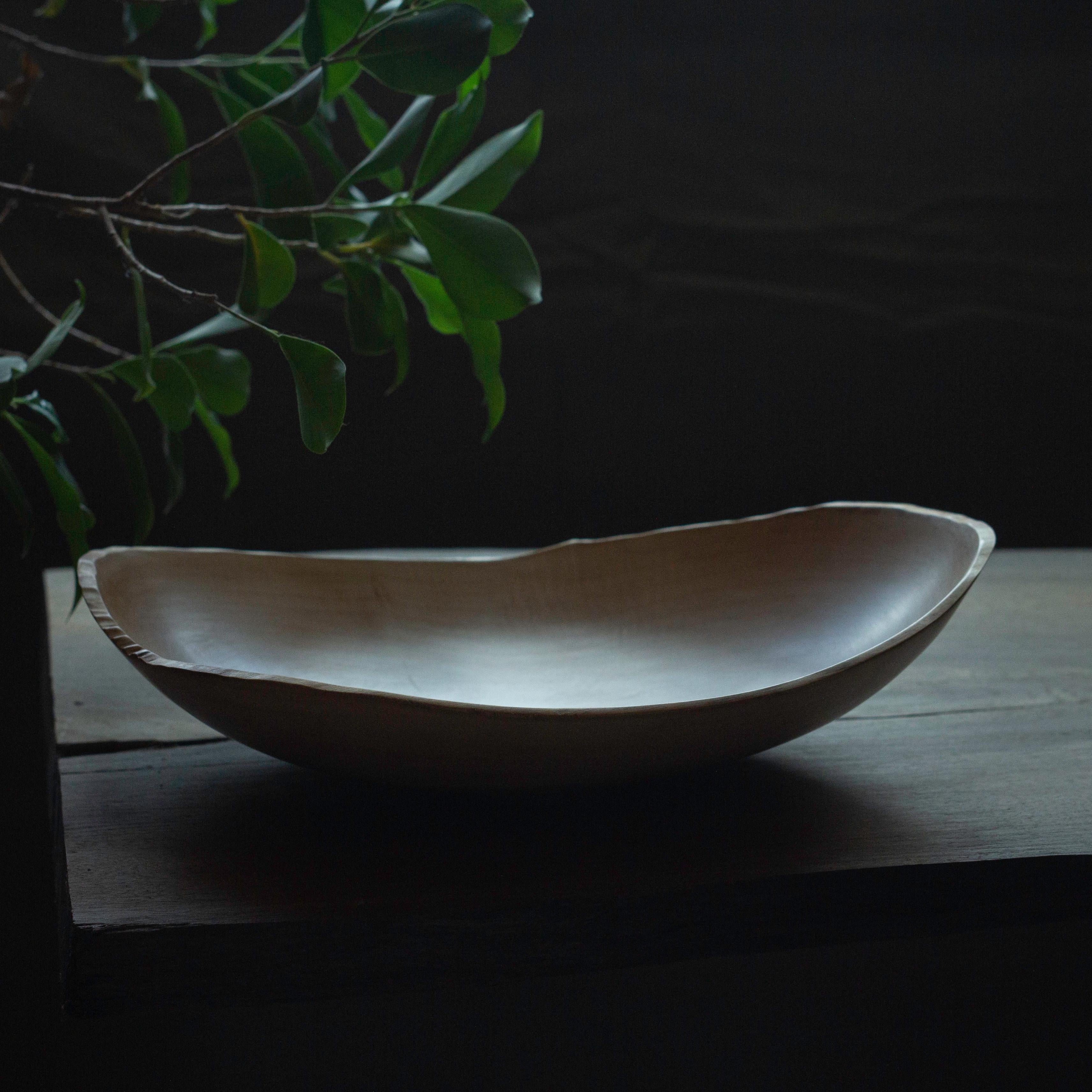 Contemporary Sycamore Maple Bowl by Vlad Droz