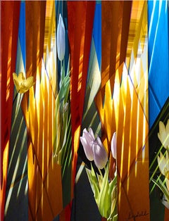 Sanctuary - Sydell Lewis - Digital Pigment Prints