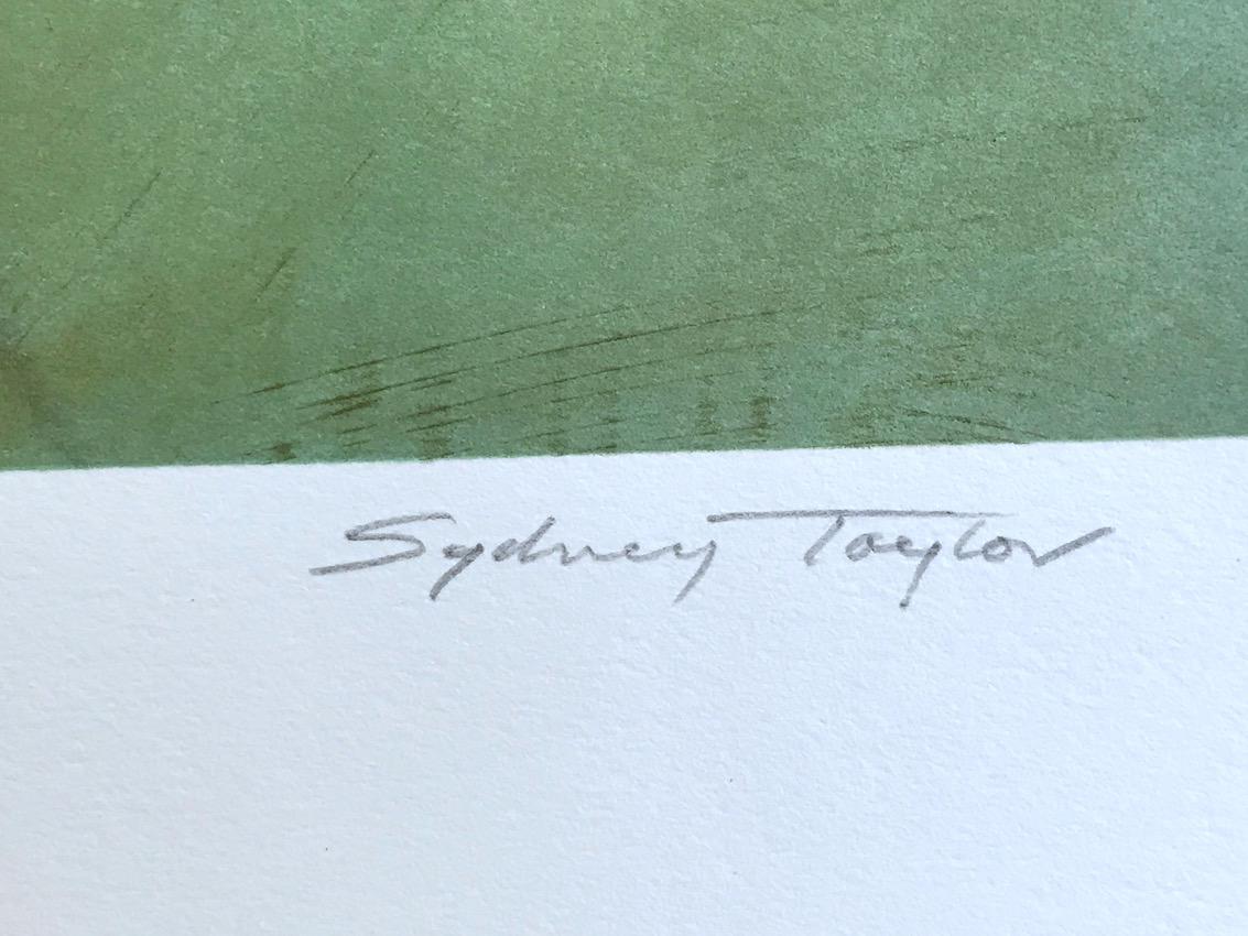 Il ritratto del leone dell'artista inglese Sydney Taylor è una litografia originale disegnata a mano in edizione limitata (non una riproduzione fotografica o una stampa digitale) stampata con tecniche di litografia a mano su carta d'archivio