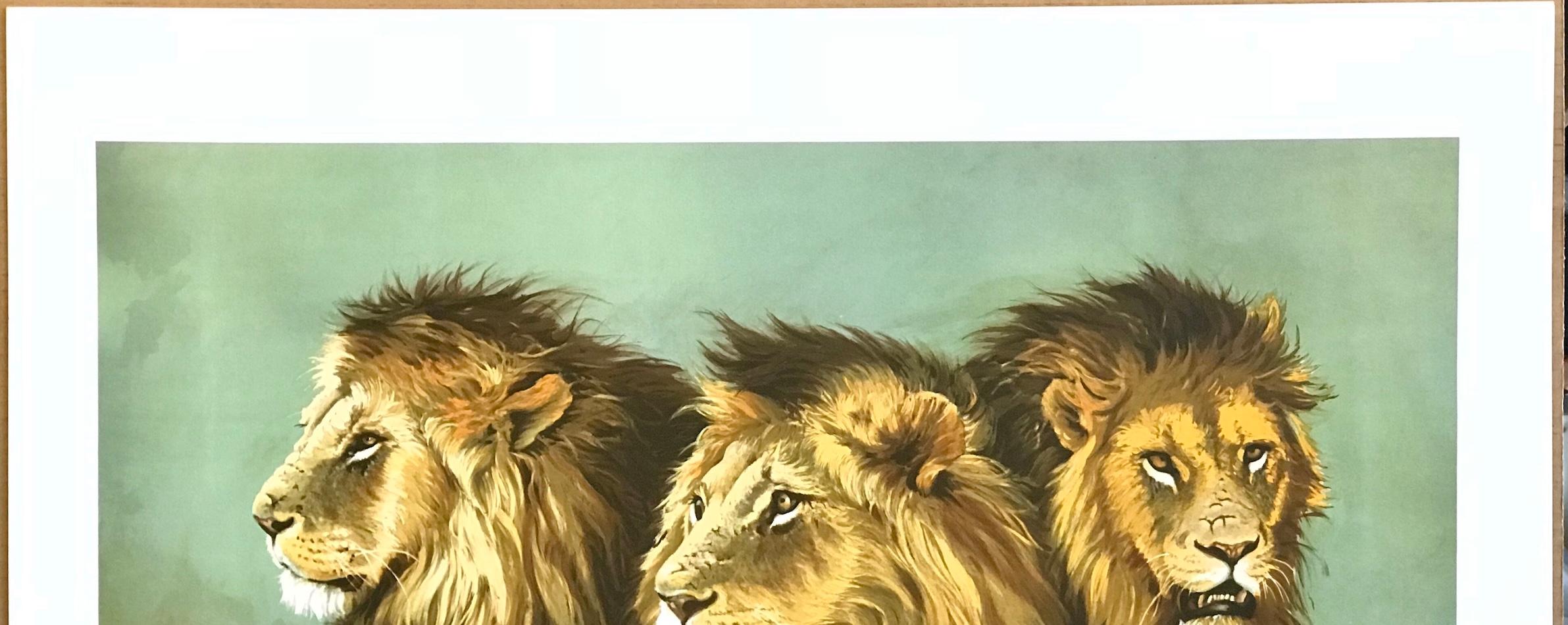 RITRATTO DI LEONE Litografia firmata, teste di leone africano, arte moderna della fauna selvatica in vendita 1