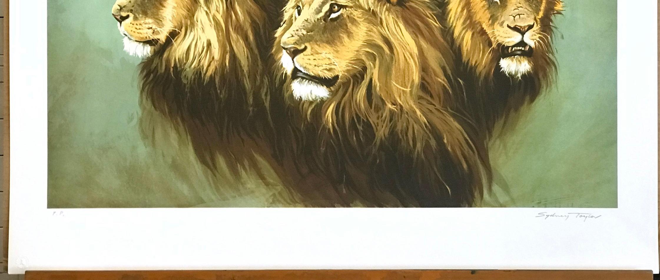 RITRATTO DI LEONE Litografia firmata, teste di leone africano, arte moderna della fauna selvatica in vendita 2