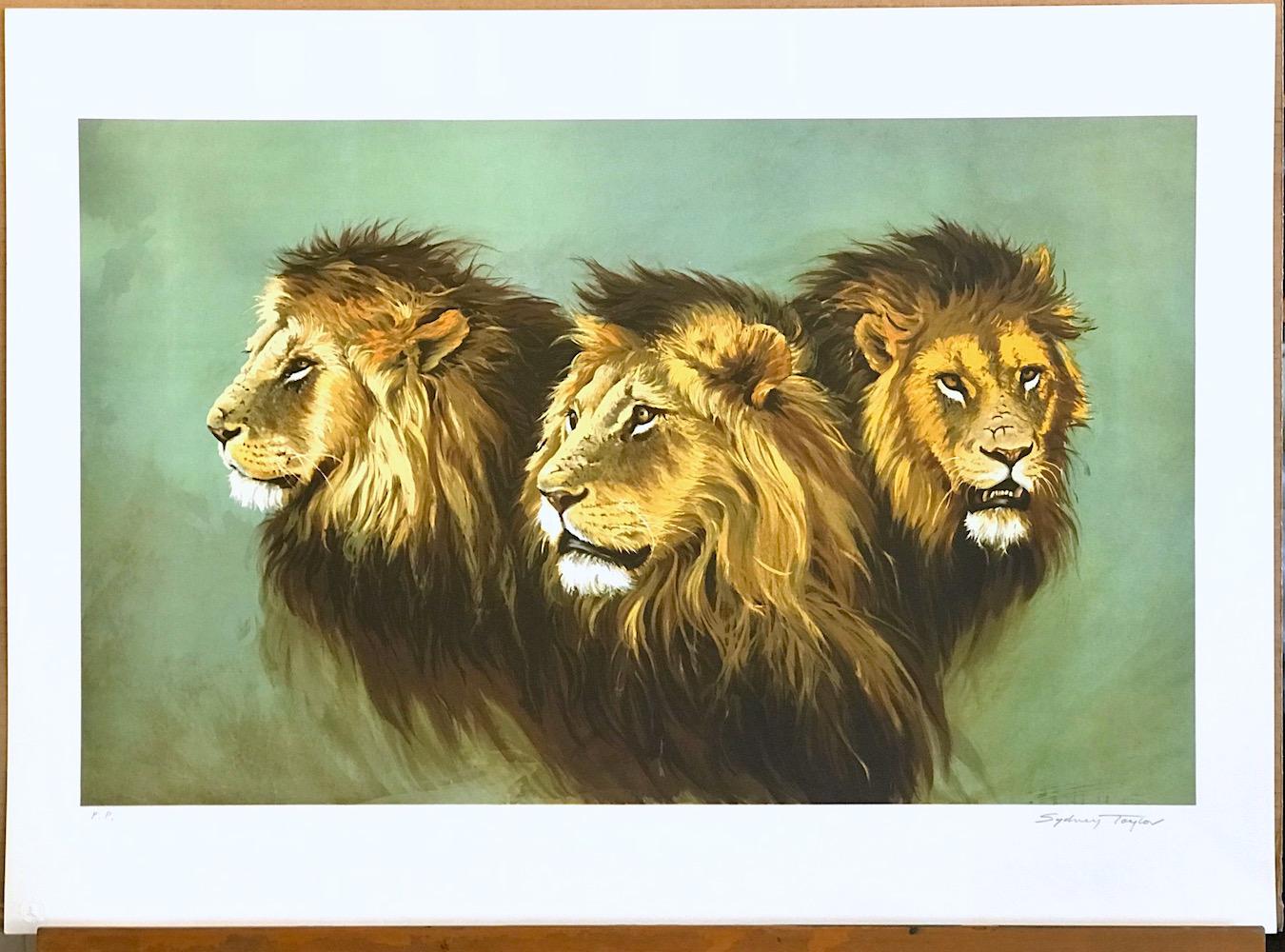 RITRATTO DI LEONE Litografia firmata, teste di leone africano, arte moderna della fauna selvatica in vendita 3