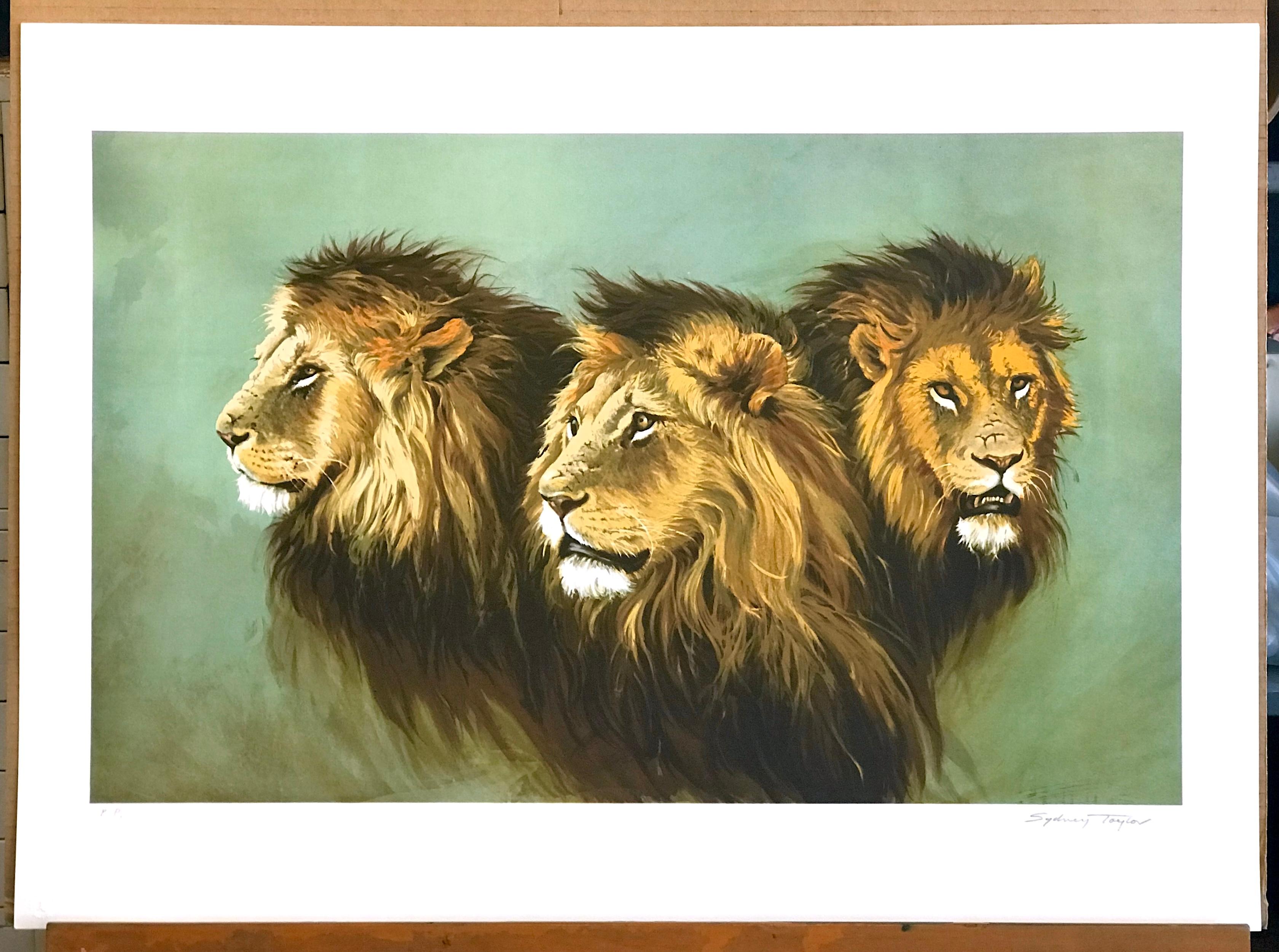 Lithographie signée LION PORTRAIT, têtes de lion africains, art moderne de la faune en vente 3