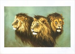 LION PORTRAIT Signed Lithograph, African Lion Heads, Modern Wildlife Art