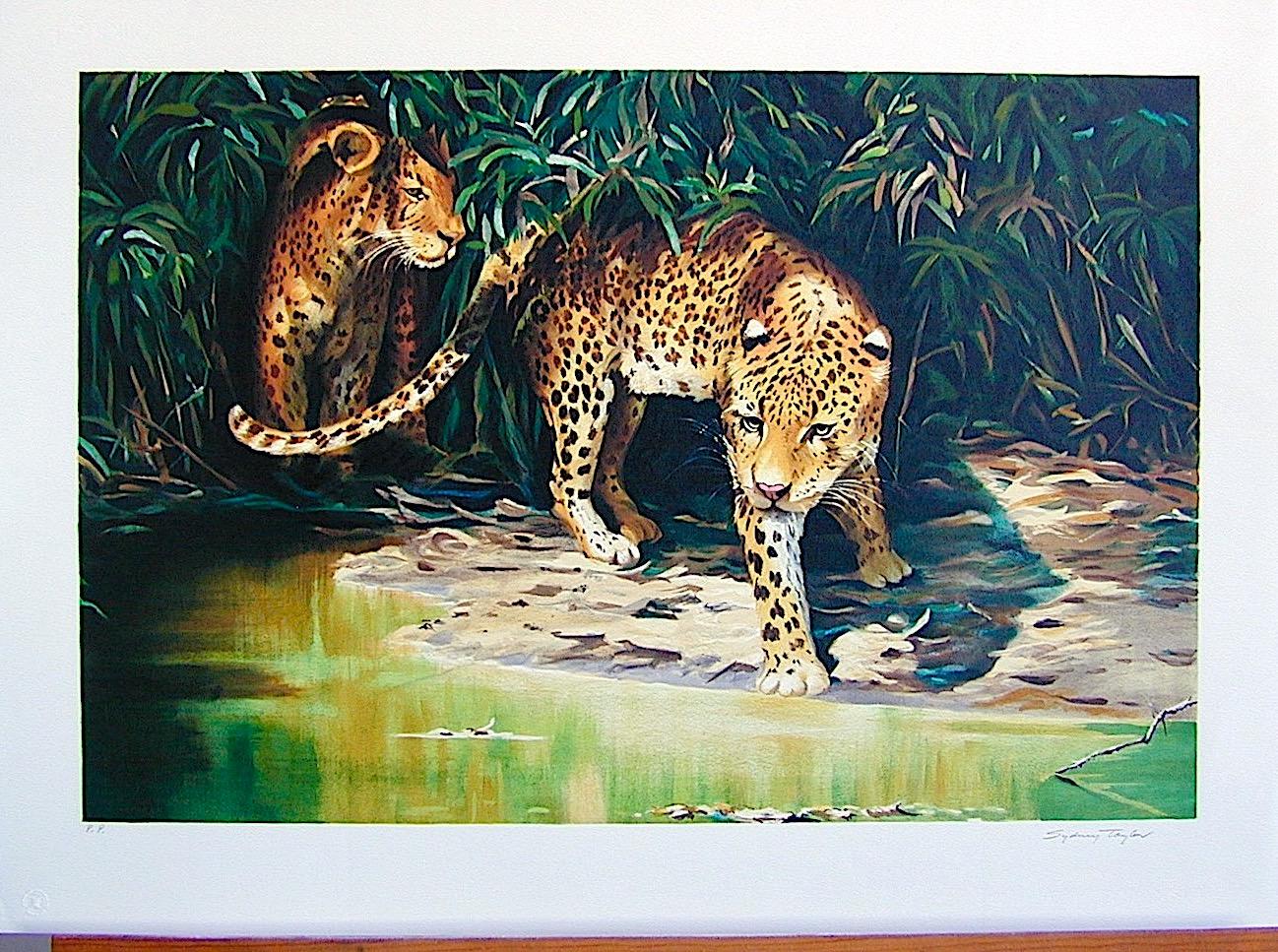OUT OF THE SHADOWS by the British wildlife artist Sydney Taylor, is an original hand drawn limited edition lithograph printed using traditional hand lithography techniques on archival Somerset paper 100% acid free. OUT OF THE SHADOWS is a