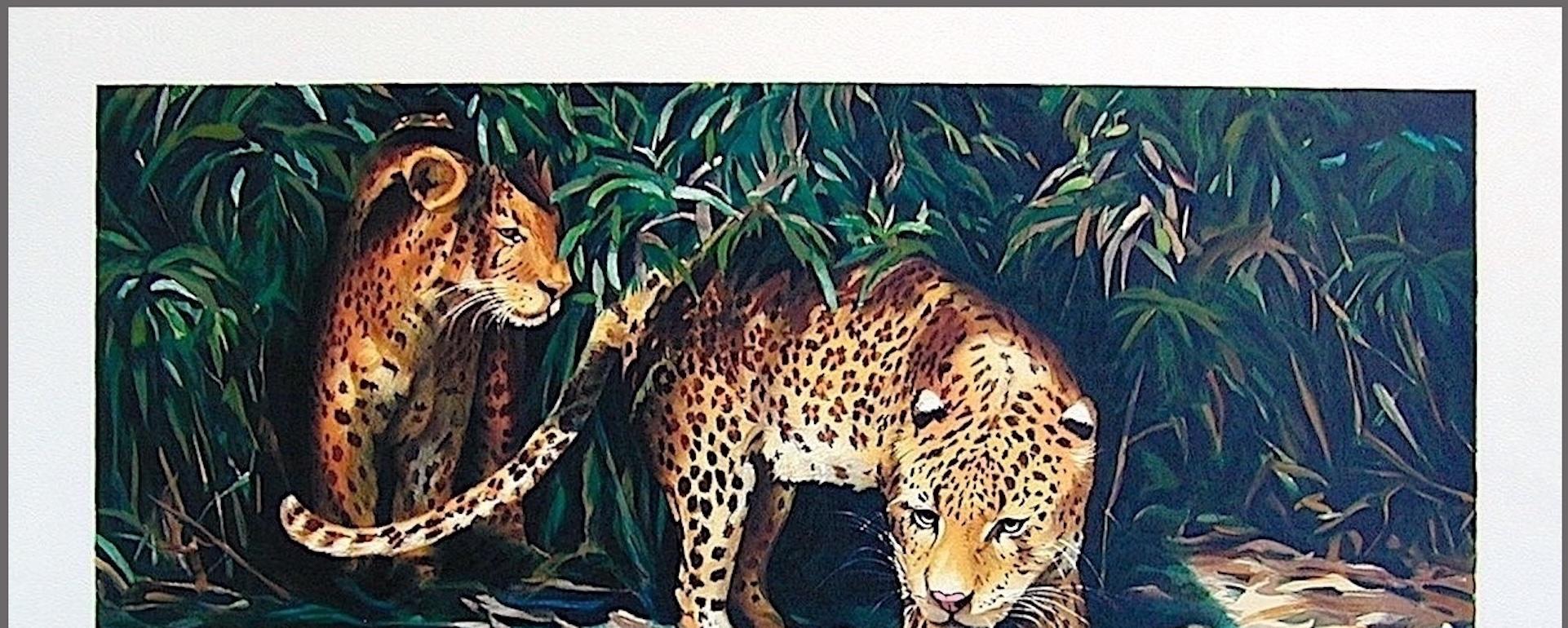 OUT OF THE SHADOWS Litografia firmata, ritratto di leopardo, giungla selvaggia in vendita 2