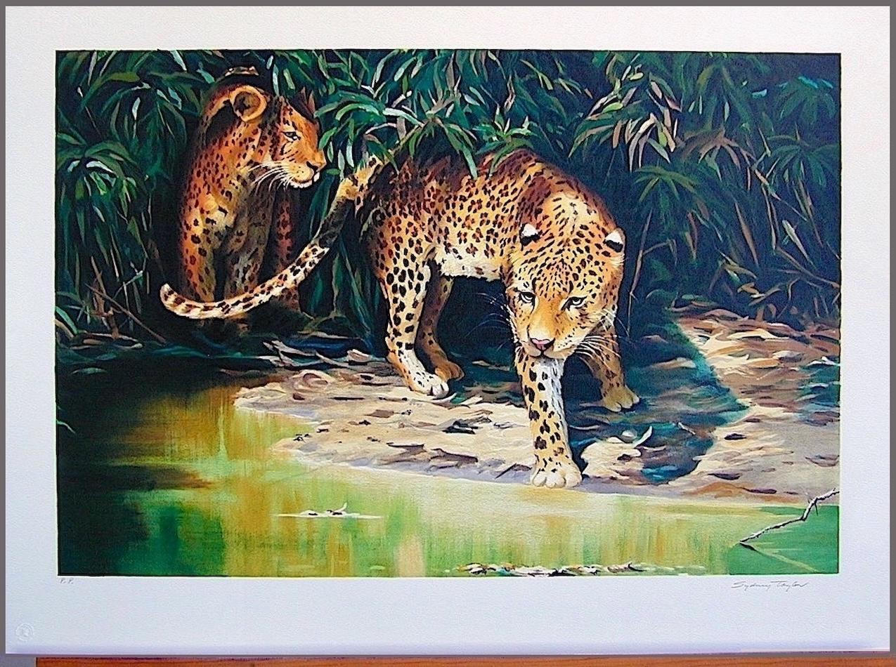 OUT OF THE SHADOWS Litografia firmata, ritratto di leopardo, giungla selvaggia in vendita 4