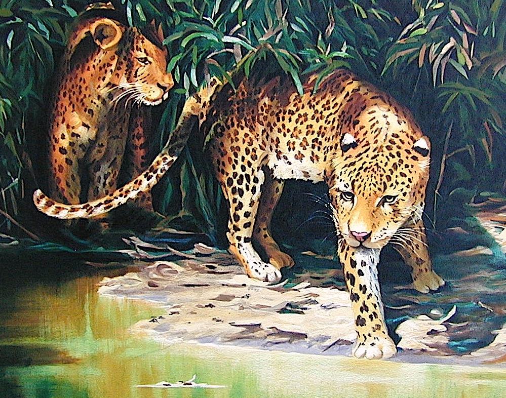 OUT OF THE SHADOWS Signed Lithograph, Leopard Portrait, Wildlife Jungle - Print by Sydney Taylor