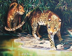 OUT OF THE SHADOWS Signed Lithograph, Leopard Portrait, Wildlife Jungle