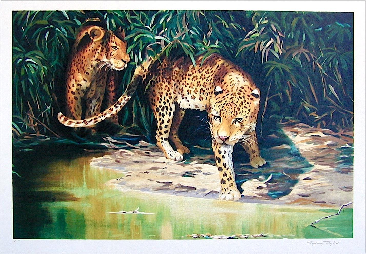 OUT OF THE SHADOWS Signierte Lithographie, Leopardenporträt, Wildtier Dschungel