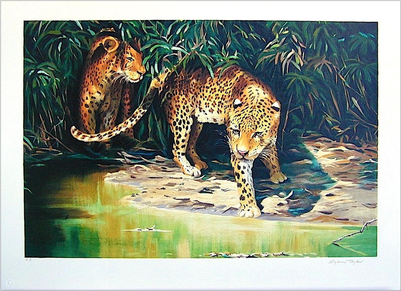 OUT OF THE SHADOWS Litografia firmata, ritratto di leopardo, giungla selvaggia