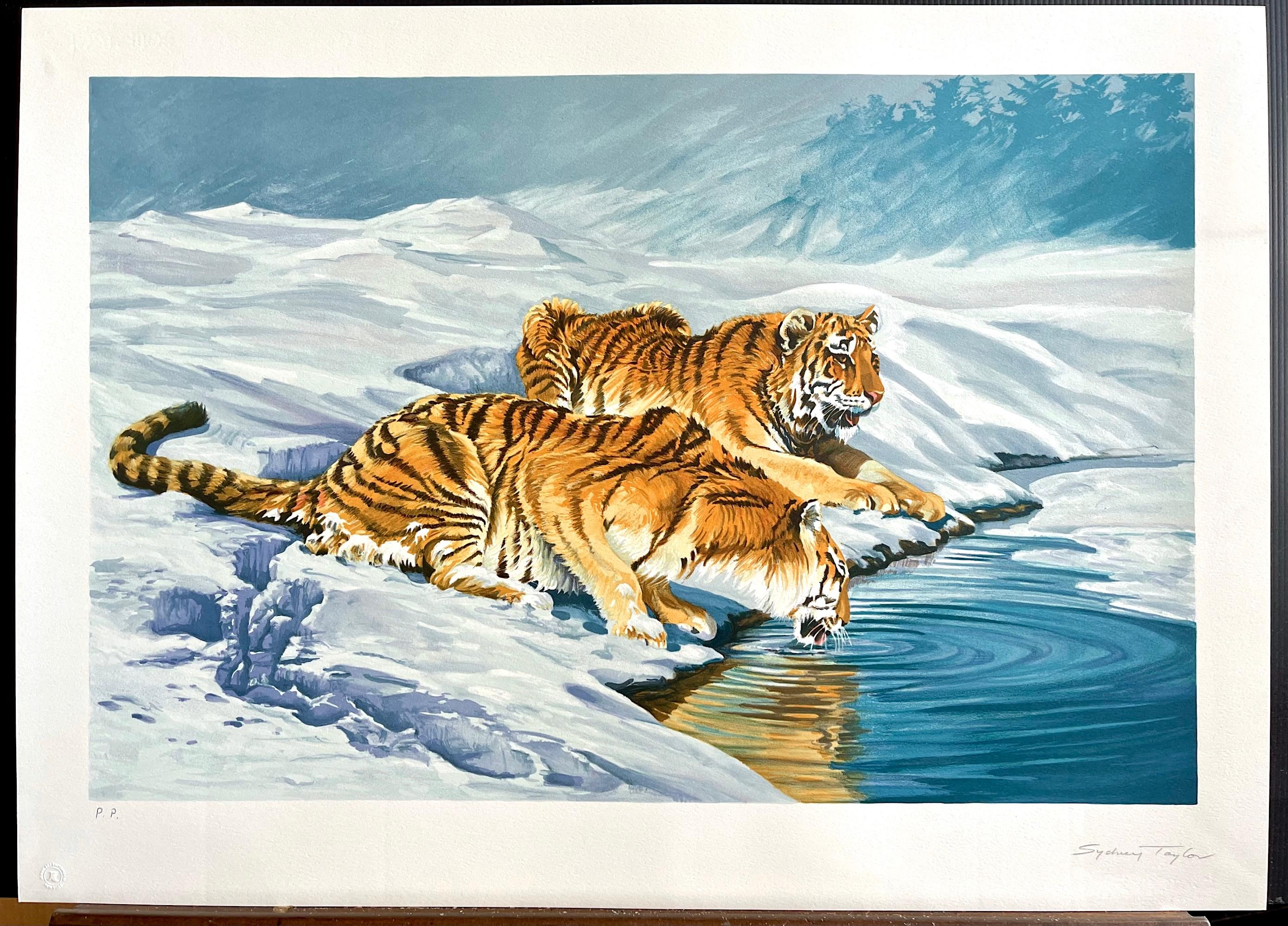 SIBERIAN TIGERS Signed Hand Drawn Lithograph Snow Landscape Big Cats Drinking im Angebot 3